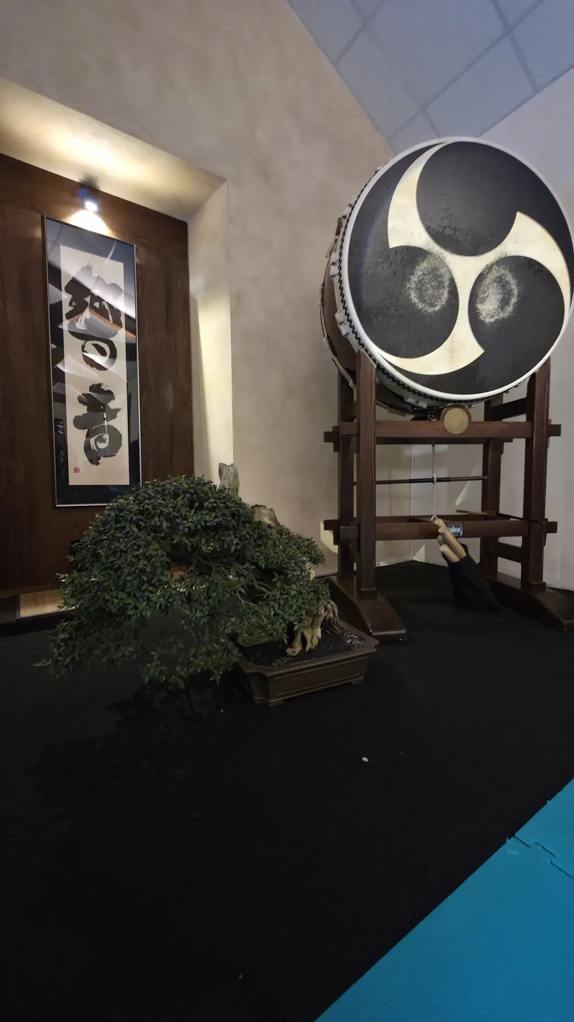 Bonsai, calligrafia e grande tamburo